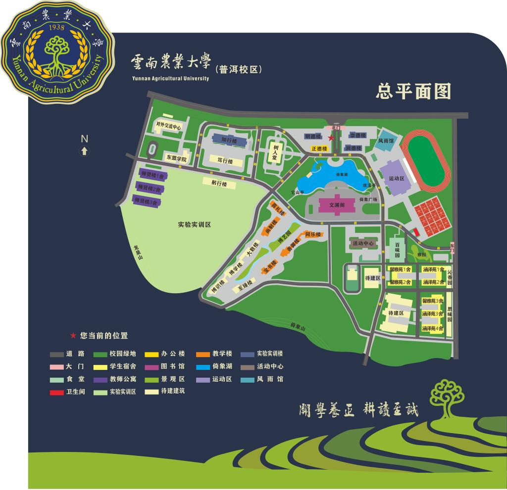 云南农业大学平面地图图片